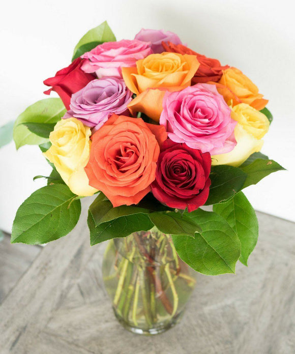 One Dozen Mixed Color Roses Flowers US Drop Ship 