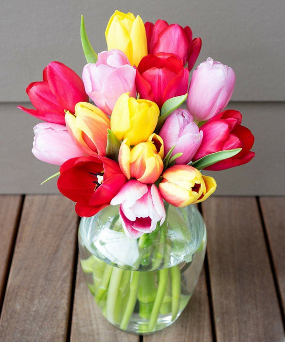 Sunny Tulips - 15 Stems Flowers US Drop Ship 