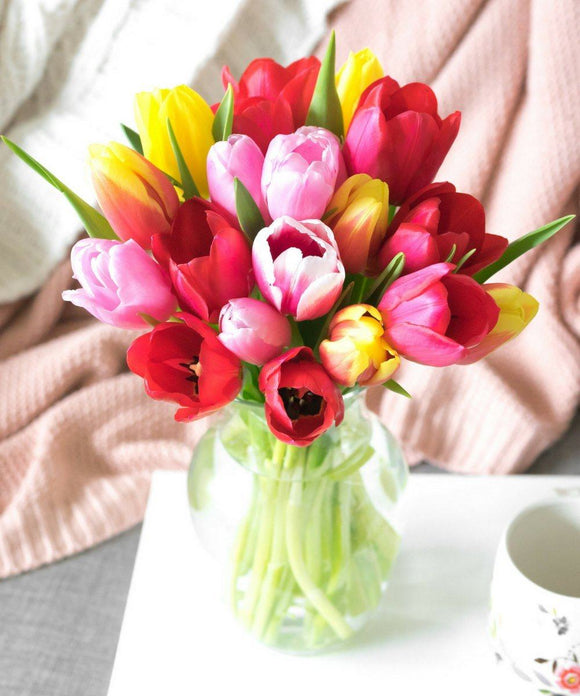 Sunshine Rainbow Tulips - 20 Stems Flowers US Drop Ship 