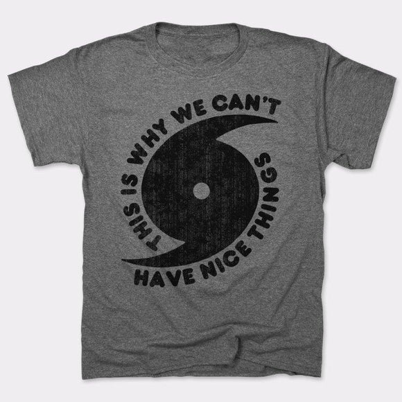 This Is Why We Can't Have Nice Things T-Shirt (Mens) Mens T-Shirt US Drop Ship 